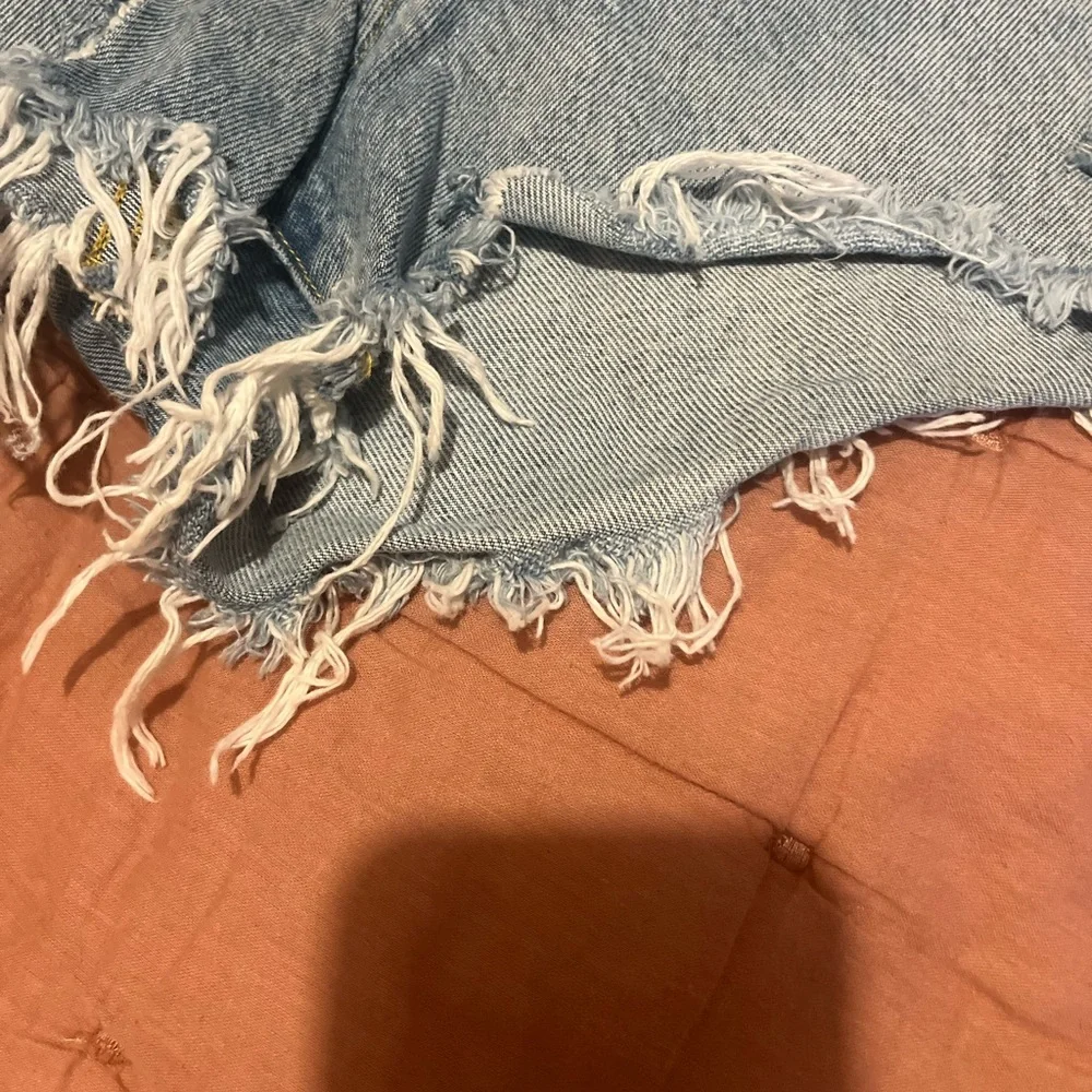 Agolde Parker Denim Jean Shorts